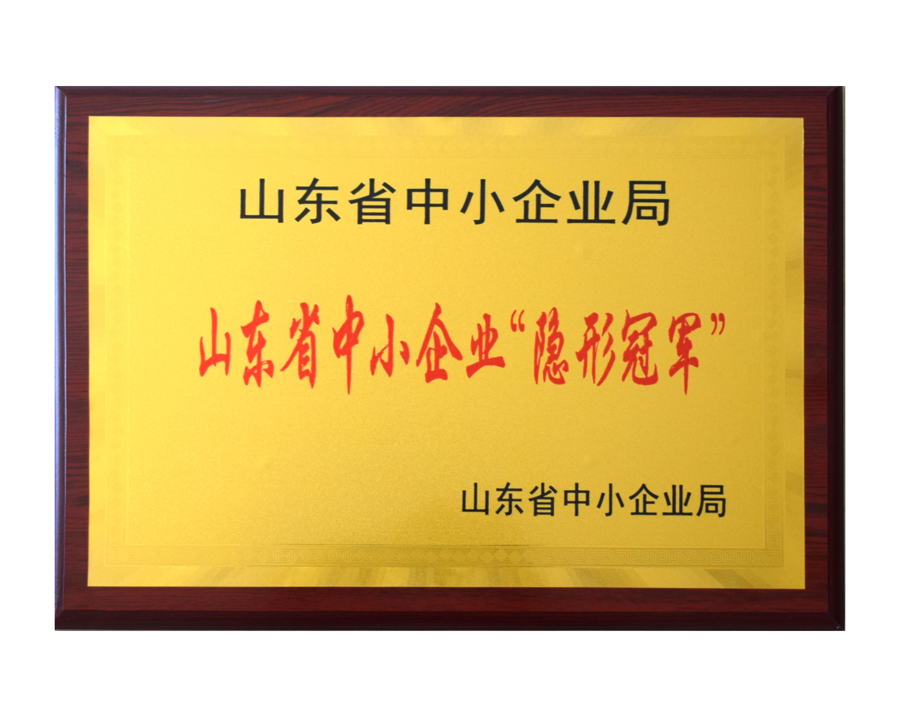 山东省中幼企业“隐形冠军”企业